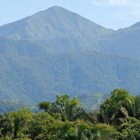 Villa Kiskadee - Beautiful Mountain Views With Private Pool 케포스 외부 사진
